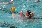 WWPolo @ CC  Wheaton College Women’s Water Polo at Connecticut College. - Photo By: KEITH NORDSTROM : Wheaton, water polo